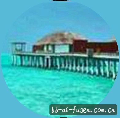 孙浩